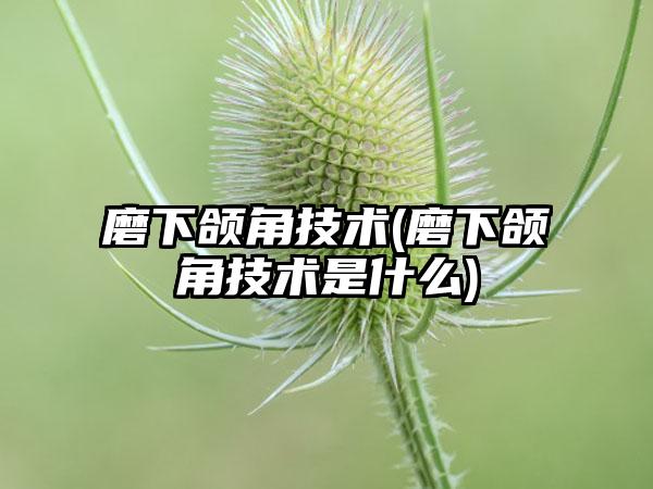 磨下颌角技术(磨下颌角技术是什么)