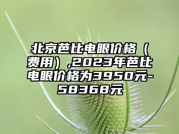 北京芭比电眼价格（费用）,2023年芭比电眼价格为3950元-58368元