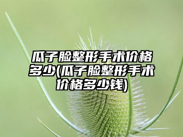 瓜子脸整形手术价格多少(瓜子脸整形手术价格多少钱)