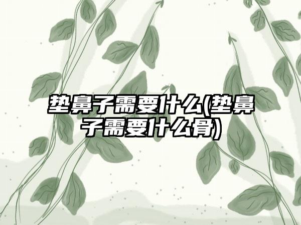 垫鼻子需要什么(垫鼻子需要什么骨)