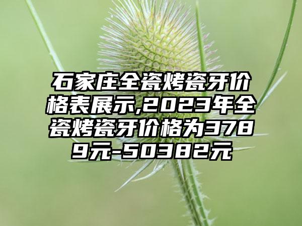 石家庄全瓷烤瓷牙价格表展示,2023年全瓷烤瓷牙价格为3789元-50382元