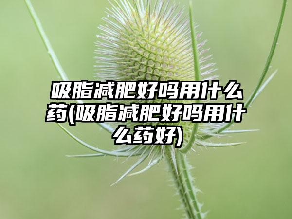 吸脂减肥好吗用什么药(吸脂减肥好吗用什么药好)