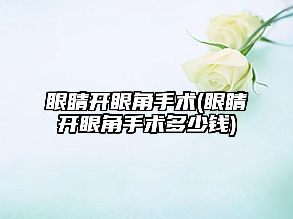 眼睛开眼角手术(眼睛开眼角手术多少钱)