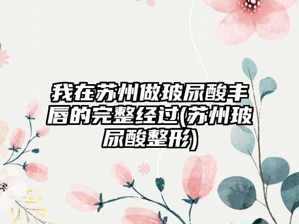 我在苏州做玻尿酸丰唇的完整经过(苏州玻尿酸整形)