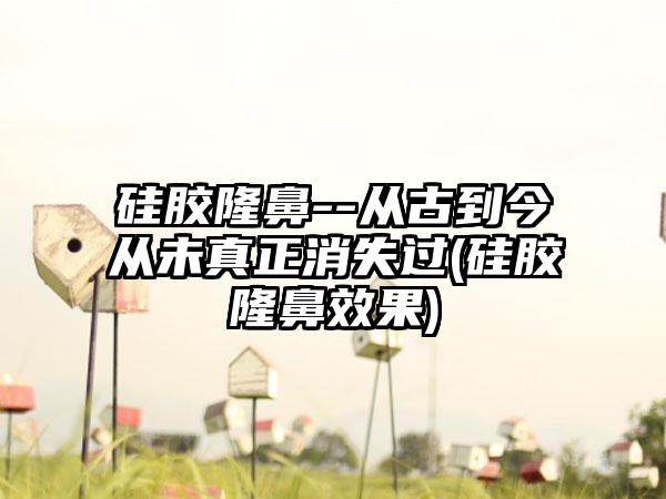 硅胶隆鼻--从古到今从未真正消失过(硅胶隆鼻成果)