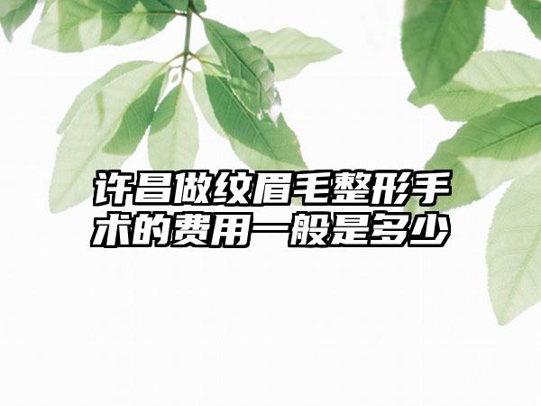 许昌做纹眉毛整形手术的费用一般是多少