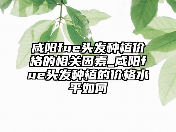 咸阳fue头发种植价格的相关因素_咸阳fue头发种植的价格水平如何