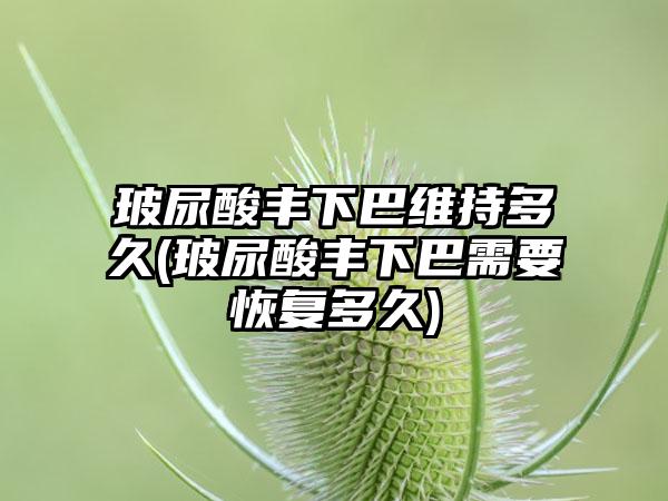 玻尿酸丰下巴维持多久(玻尿酸丰下巴需要修复多久)