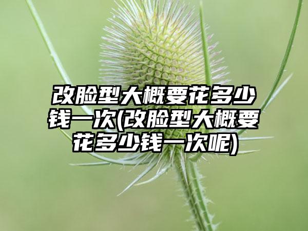 改脸型大概要花多少钱一次(改脸型大概要花多少钱一次呢)