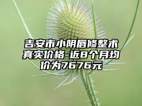 吉安市小阴唇修整术真实价格-近8个月均价为7676元