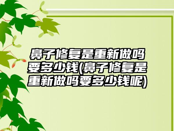 鼻子修复是重新做吗要多少钱(鼻子修复是重新做吗要多少钱呢)