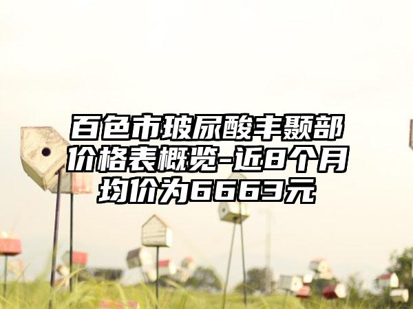 百色市玻尿酸丰颞部价格表概览-近8个月均价为6663元