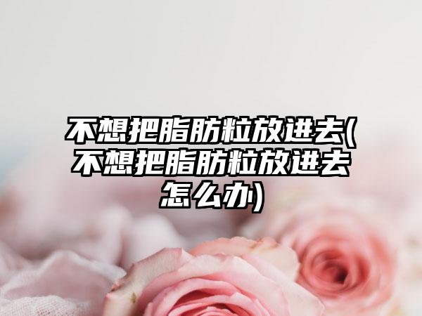 不想把脂肪粒放进去(不想把脂肪粒放进去怎么办)