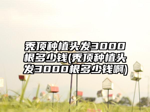 秃顶种植头发3000根多少钱(秃顶种植头发3000根多少钱啊)