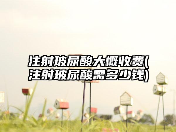 注射玻尿酸大概收费(注射玻尿酸需多少钱)