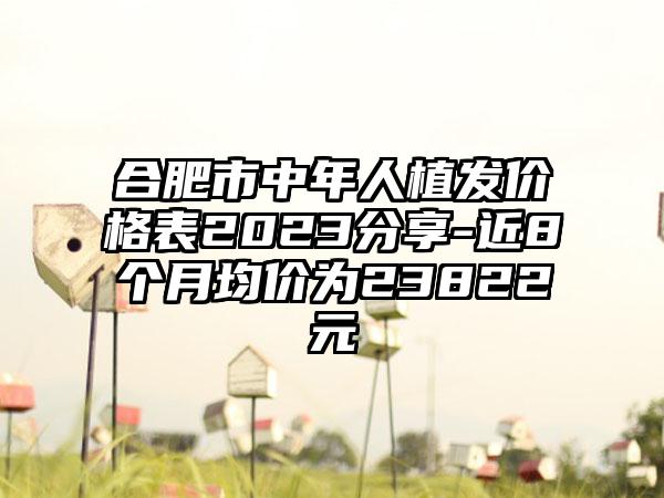 合肥市中年人植发价格表2023分享-近8个月均价为23822元