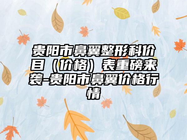 贵阳市鼻翼整形科价目（价格）表重磅来袭-贵阳市鼻翼价格行情