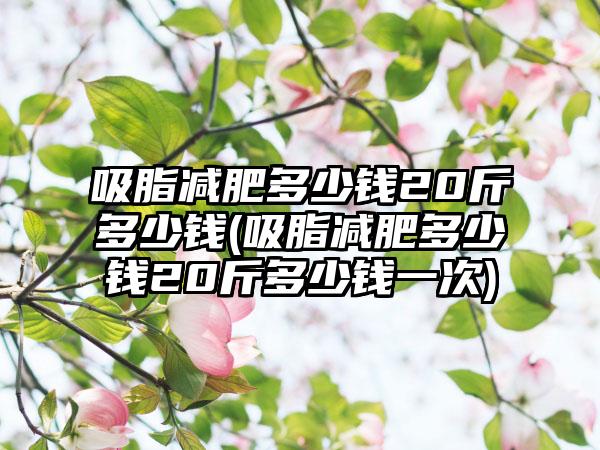 吸脂减肥多少钱20斤多少钱(吸脂减肥多少钱20斤多少钱一次)