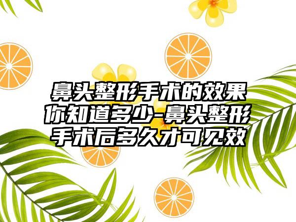 鼻头整形手术的成果你知道多少-鼻头整形手术后多久才可见效