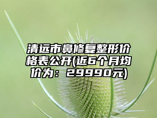 清远市鼻修复整形价格表公开(近6个月均价为：29990元)