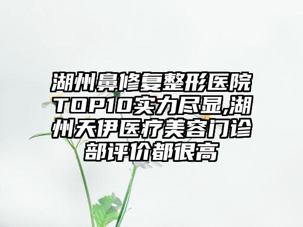 湖州鼻修复整形医院TOP10实力尽显,湖州天伊医疗美容门诊部评价都很高