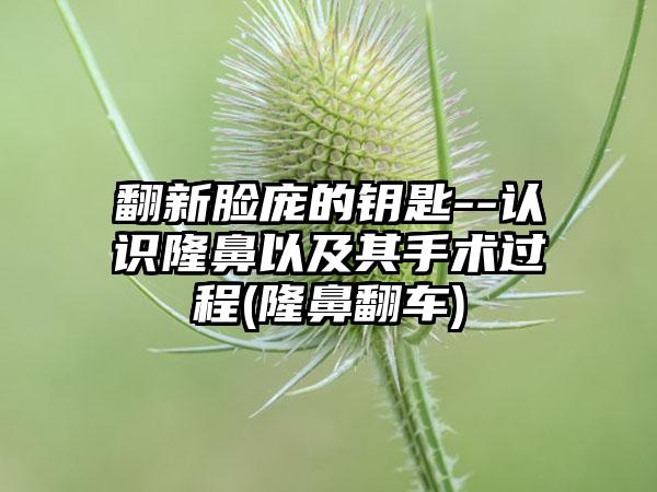 翻新脸庞的钥匙--认识隆鼻以及其手术过程(隆鼻翻车)