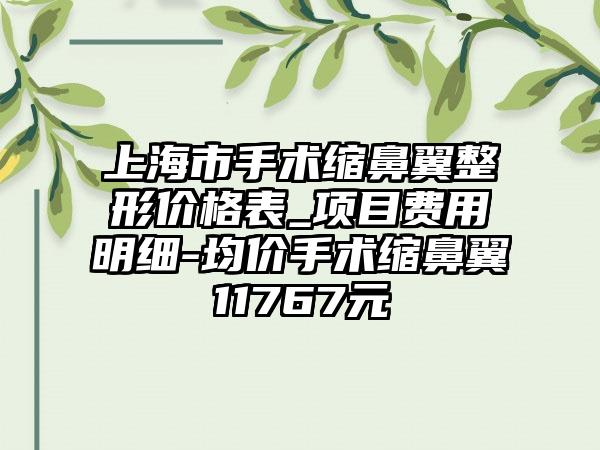 上海市手术缩鼻翼整形价格表_项目费用明细-均价手术缩鼻翼11767元