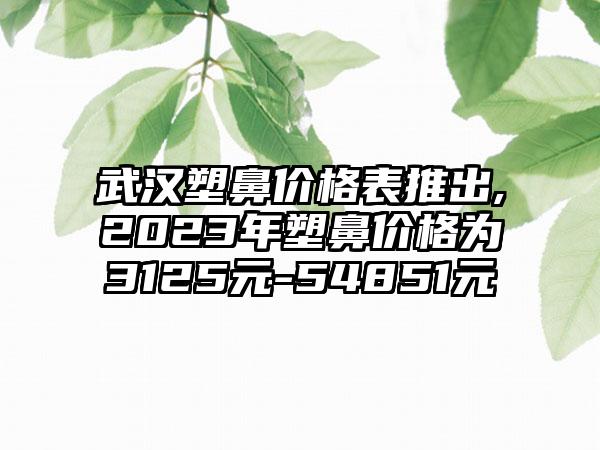 武汉塑鼻价格表推出,2023年塑鼻价格为3125元-54851元