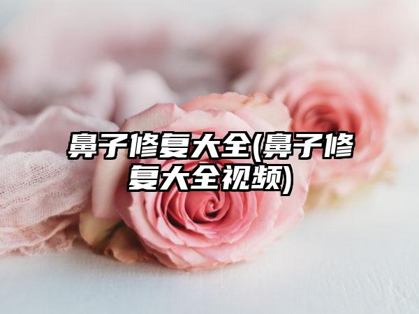 鼻子修复大全(鼻子修复大全视频)