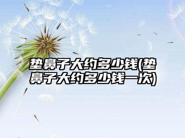 垫鼻子大约多少钱(垫鼻子大约多少钱一次)