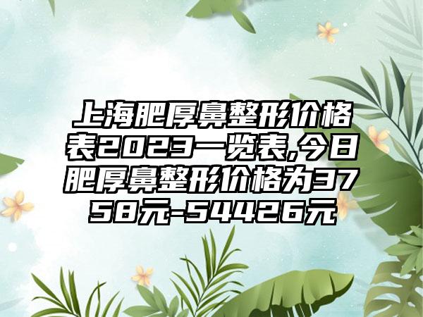 上海肥厚鼻整形价格表2023一览表,今日肥厚鼻整形价格为3758元-54426元