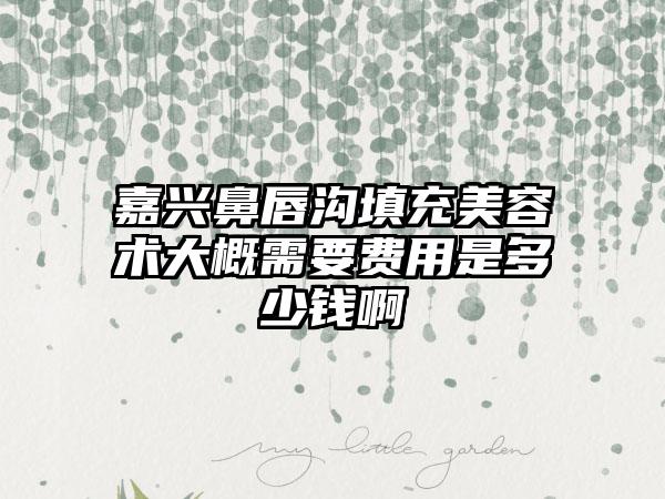 嘉兴鼻唇沟填充美容术大概需要费用是多少钱啊