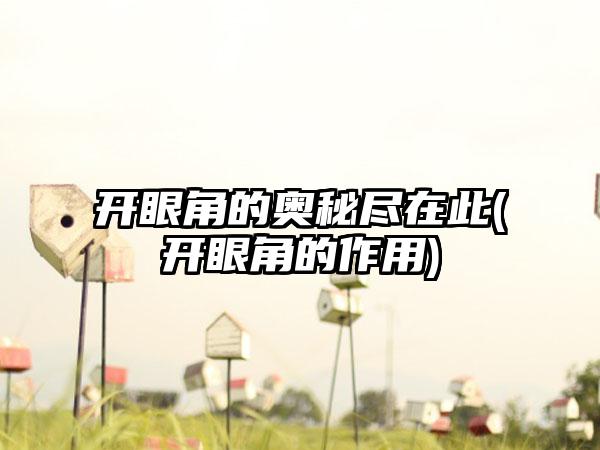 开眼角的奥秘尽在此(开眼角的作用)