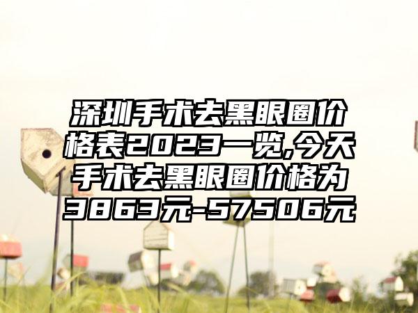 深圳手术去黑眼圈价格表2023一览,今天手术去黑眼圈价格为3863元-57506元