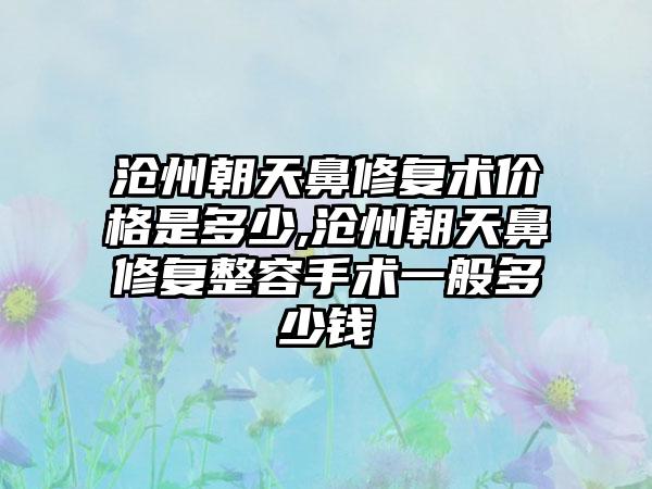 沧州朝天鼻修复术价格是多少,沧州朝天鼻修复整容手术一般多少钱