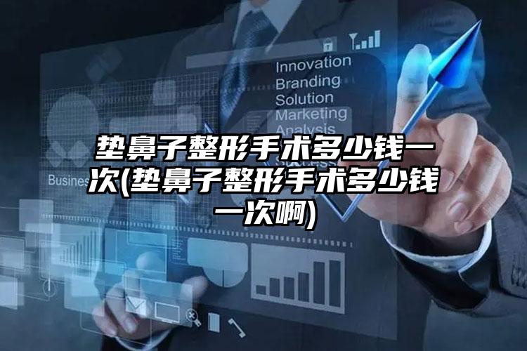 垫鼻子整形手术多少钱一次(垫鼻子整形手术多少钱一次啊)