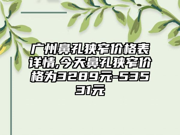 广州鼻孔狭窄价格表详情,今天鼻孔狭窄价格为3289元-53531元