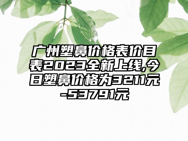 广州塑鼻价格表价目表2023全新上线,今日塑鼻价格为3211元-53791元