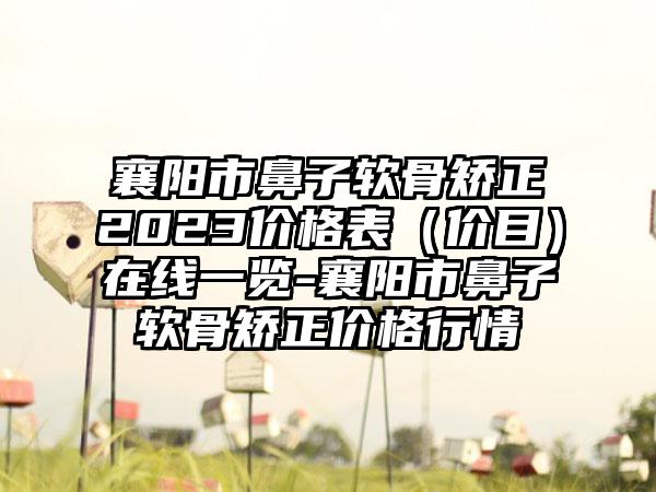 襄阳市鼻子软骨矫正2023价格表（价目）在线一览-襄阳市鼻子软骨矫正价格行情