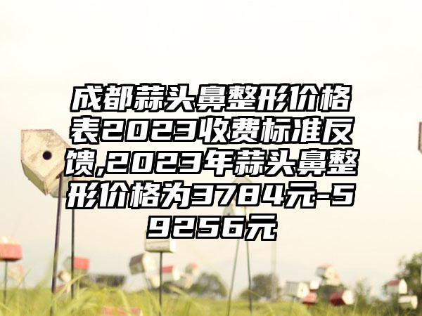 成都蒜头鼻整形价格表2023收费标准反馈,2023年蒜头鼻整形价格为3784元-59256元