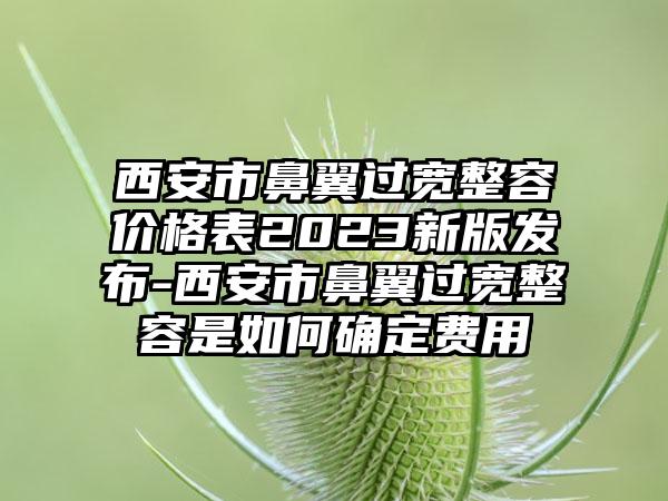 西安市鼻翼过宽整容价格表2023新版发布-西安市鼻翼过宽整容是如何确定费用