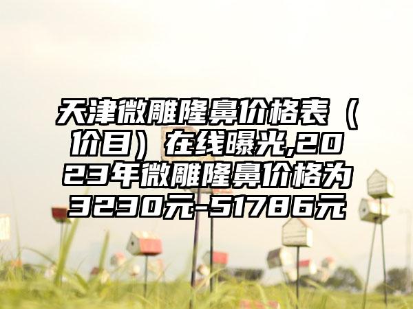 天津微雕隆鼻价格表（价目）在线曝光,2023年微雕隆鼻价格为3230元-51786元