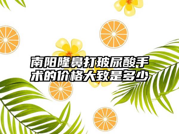 南阳隆鼻打玻尿酸手术的价格大致是多少