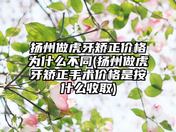 扬州做虎牙矫正价格为什么不同(扬州做虎牙矫正手术价格是按什么收取)