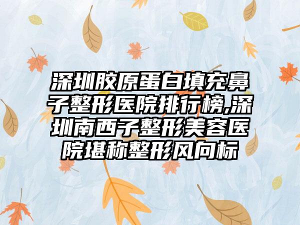 深圳胶原蛋白填充鼻子整形医院排行榜,深圳南西子整形美容医院堪称整形风向标