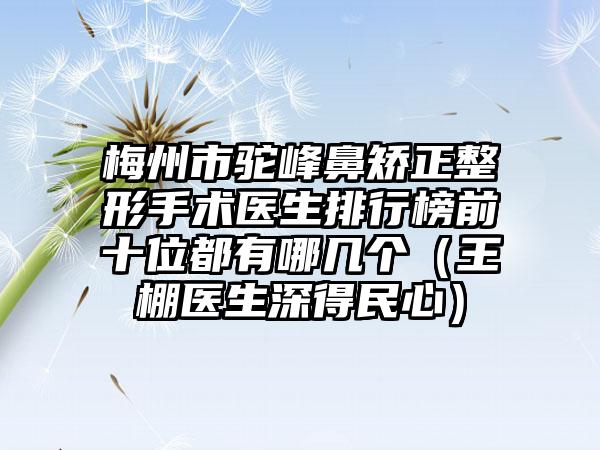 梅州市驼峰鼻矫正整形手术医生排行榜前十位都有哪几个（王棚医生深得民心）