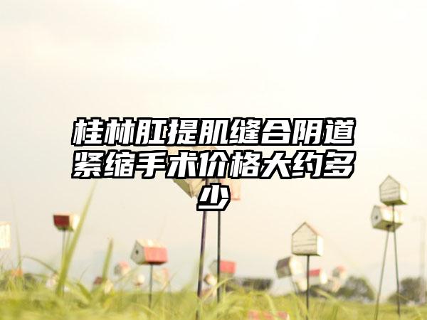 桂林肛提肌缝合阴道紧缩手术价格大约多少