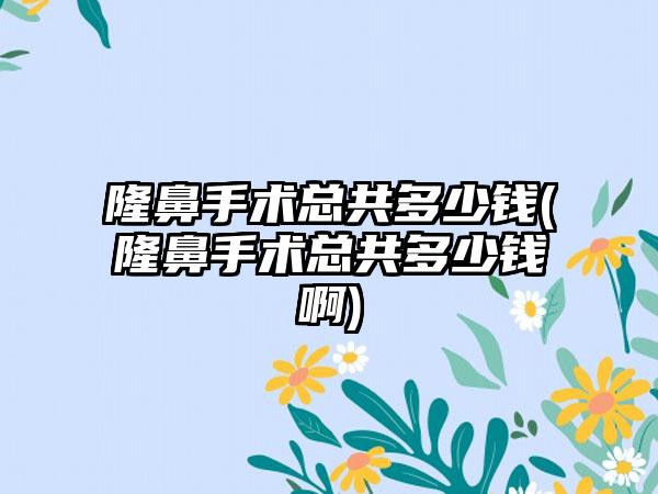 隆鼻手术总共多少钱(隆鼻手术总共多少钱啊)