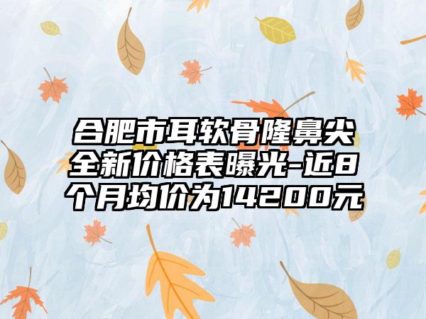 合肥市耳软骨隆鼻尖全新价格表曝光-近8个月均价为14200元