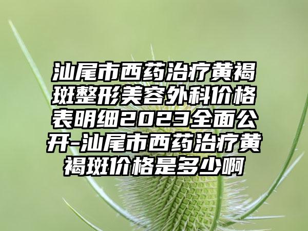 汕尾市西药治疗黄褐斑整形美容外科价格表明细2023多面公开-汕尾市西药治疗黄褐斑价格是多少啊